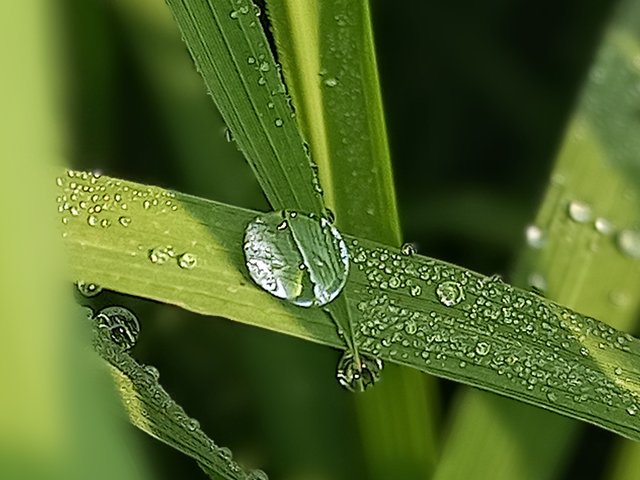 20250403_085224~2.jpg