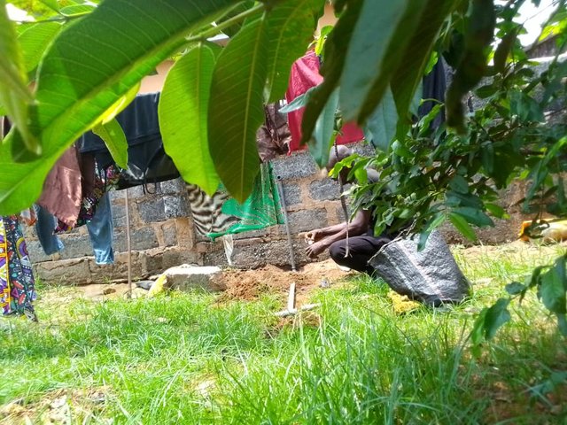 IMG-20250421-WA0033.jpg