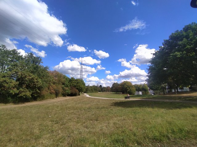 IMG_20250829_131458.jpg