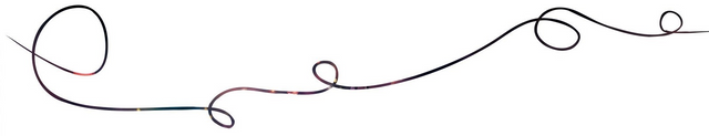SEPARADOR (5).png