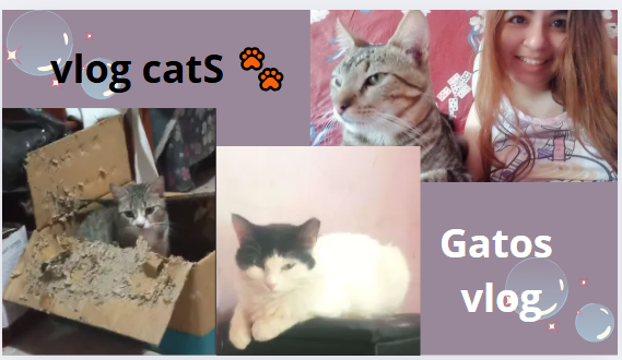 39vide.PNG