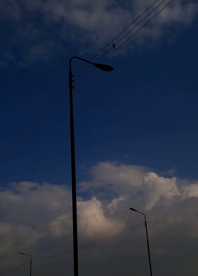 VideoCapture_2025080