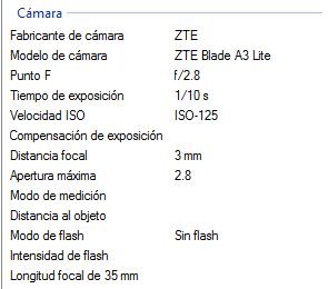 exif gato.JPG