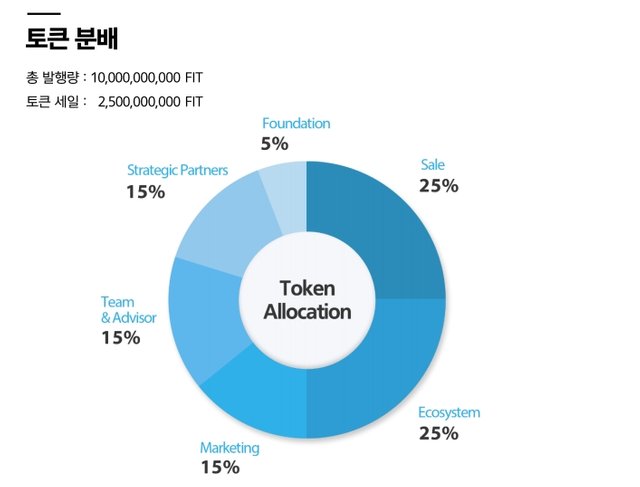 토큰분배.jpg