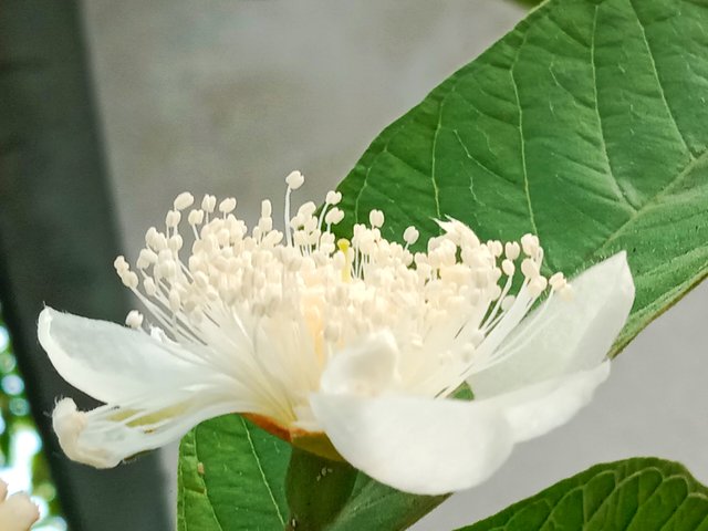 IMG_20250419_195942.jpg