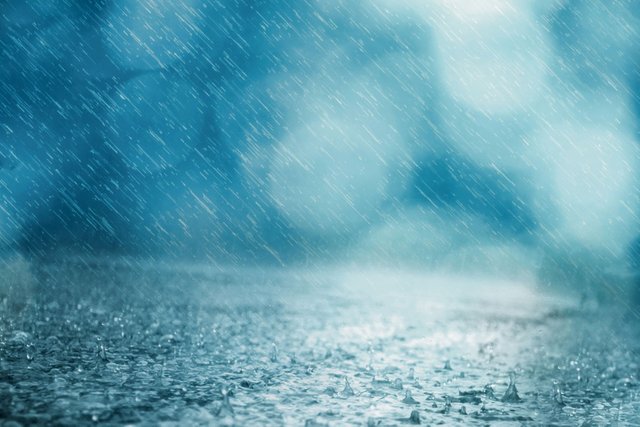 rain (1).jpg