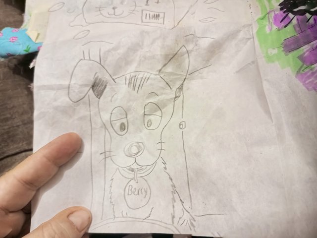 IMG_20250502_023447_780-01.jpeg