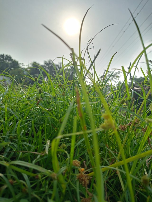 IMG20240916073221.jpg