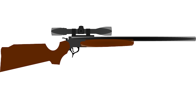 rifle-37050_640.png