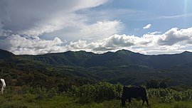 270px-The_Mambilla_Plateau,_Nigeria_01.jpg