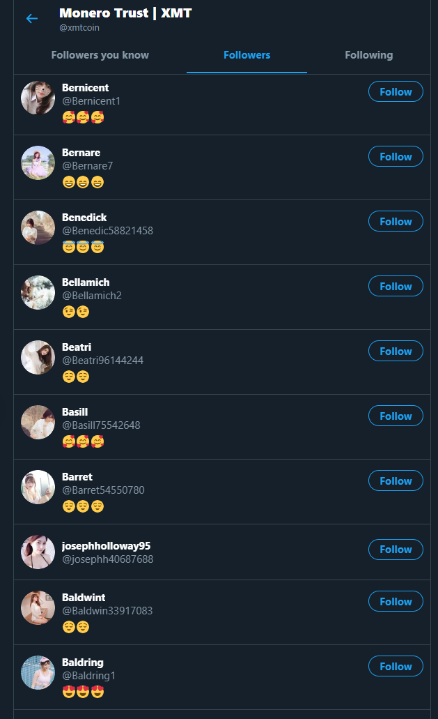 XMT fake followers 2.PNG