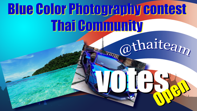 Blue Photography Votes.png