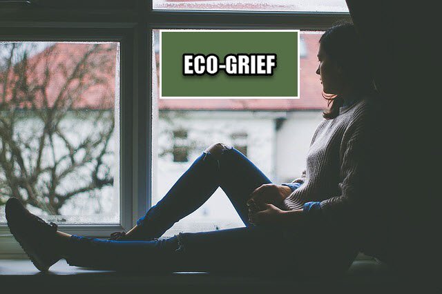 girl looking out window ECO-GRIEF.jpg