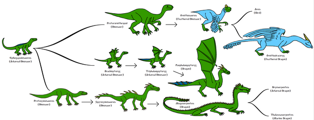 Dragon cladogram.PNG