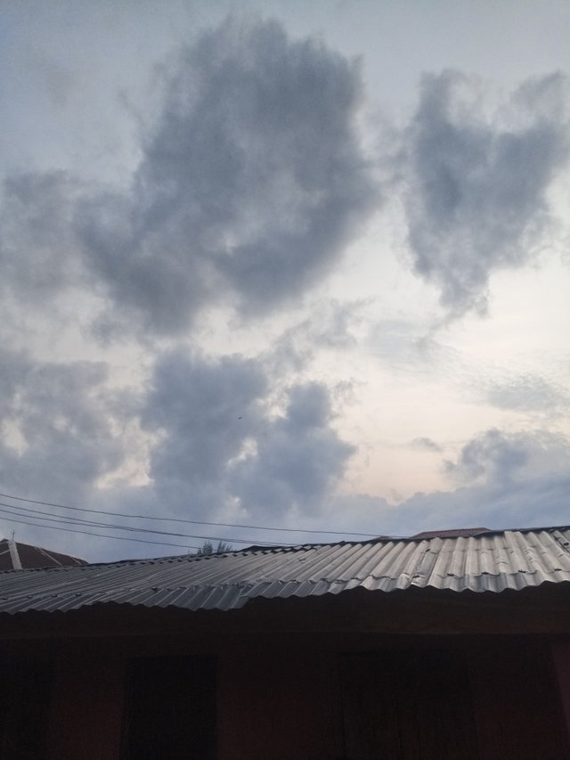 IMG_20250314_070447_8.jpg
