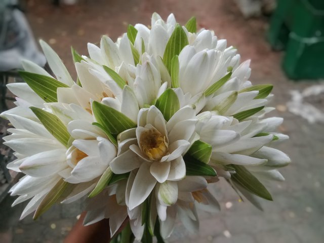 IMG20251002083304.jpg