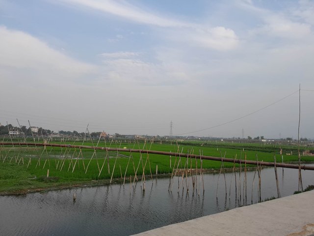 341242382_694493892683148_9197603201332903611_n (1).jpg