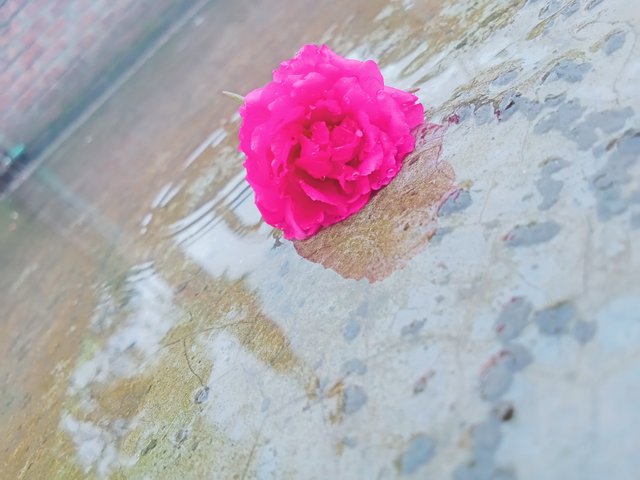IMG20250530103724.jpg