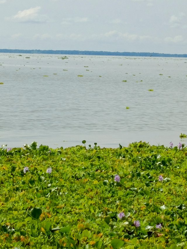 IMG_20251005_102125_762.jpg