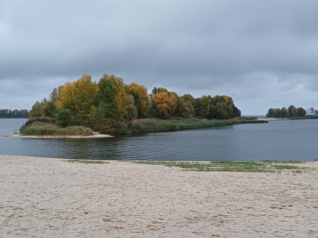 20251010_071555.jpg