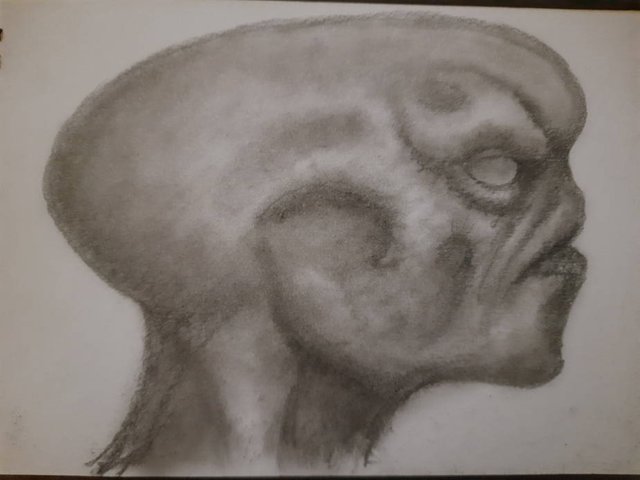 20250810_093129.jpg