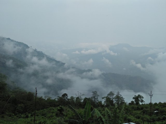IMG20180527095440.jpg