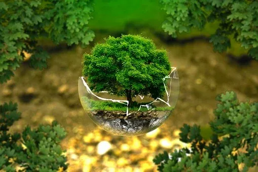 environmental-protection-326923__340.webp