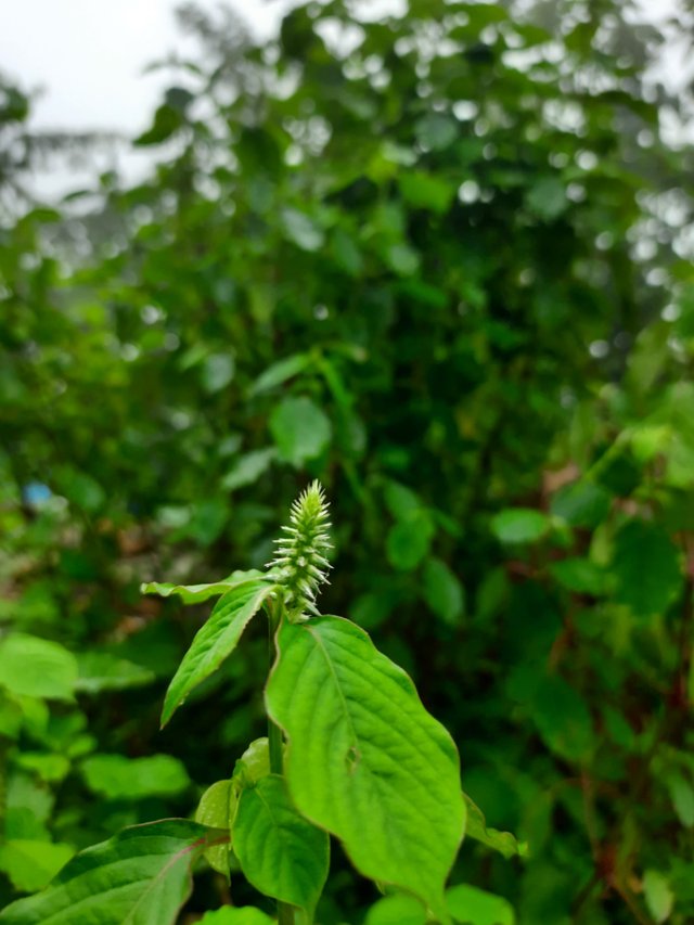 20210910_070637.jpg