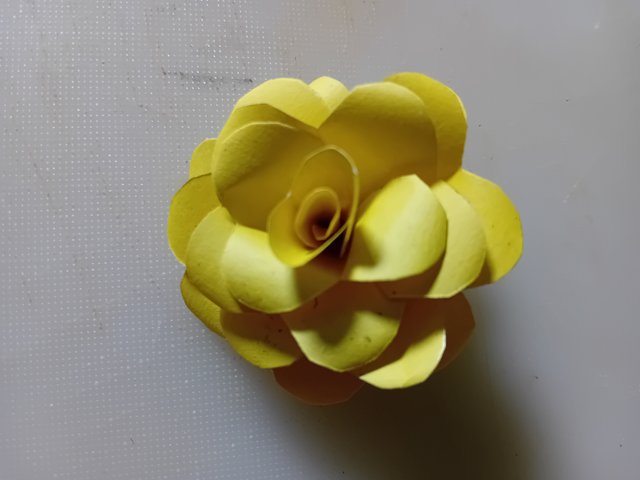 1000038564.jpg