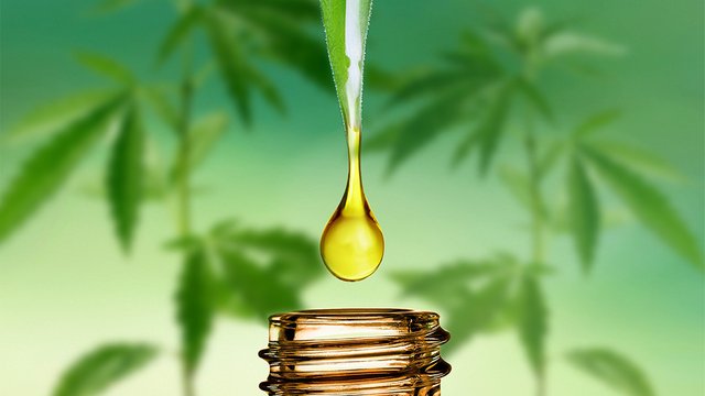 CBD-Myth-7.jpg