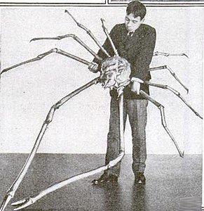 291px-Japanese_spider_crab.jpg