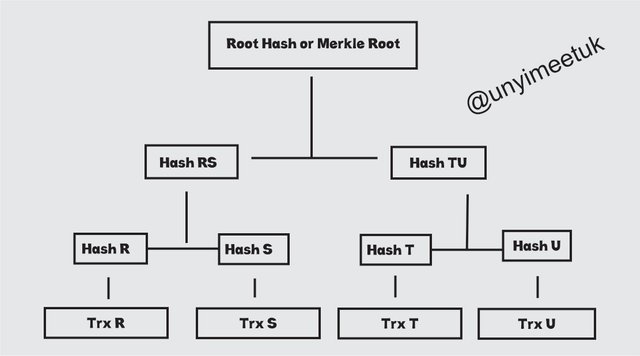 root hash.jpg