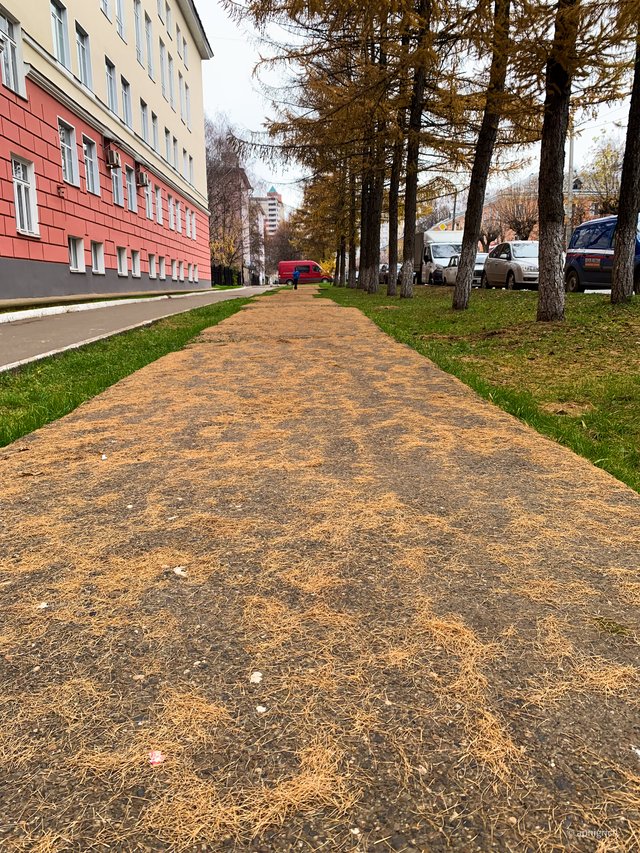 2025-10-24 10-59-25.jpg