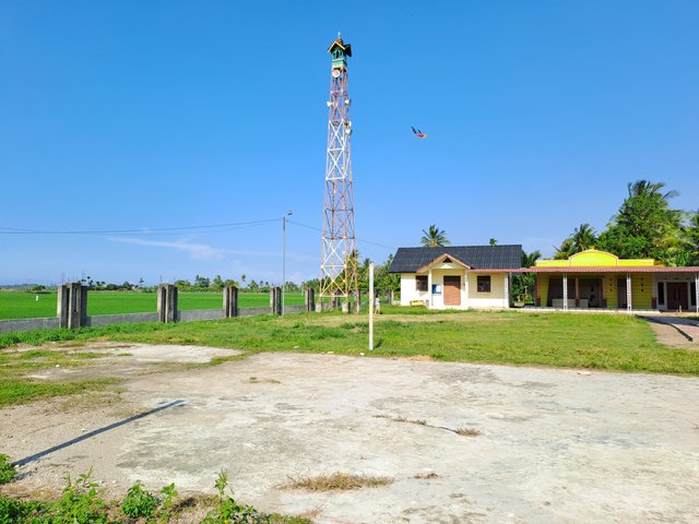 1000376287.jpg