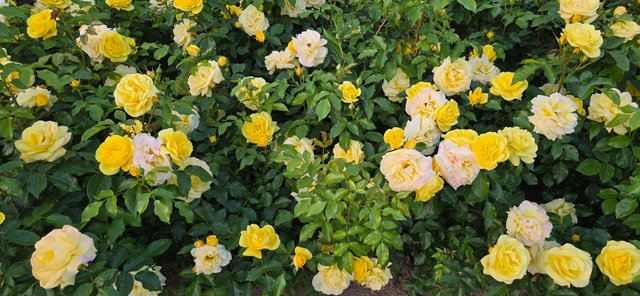KakaoTalk_20250605_220126977_18.jpg