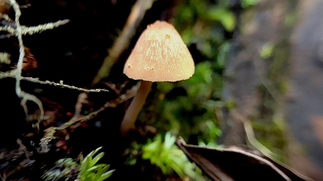 IMG_20250809_144958.jpg