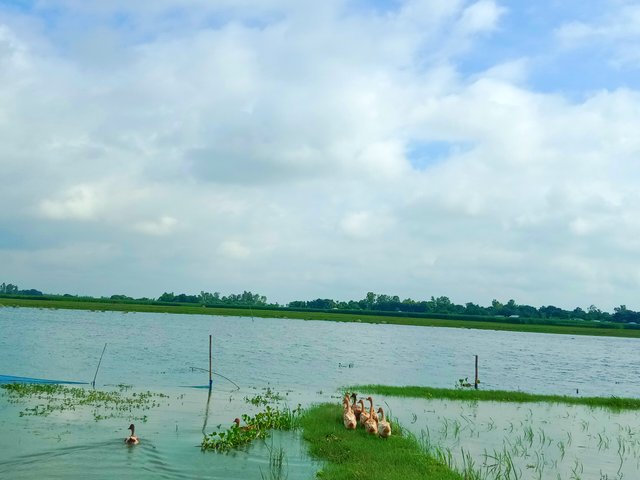 IMG_20250626_183427.jpg
