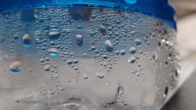 48280.jpg