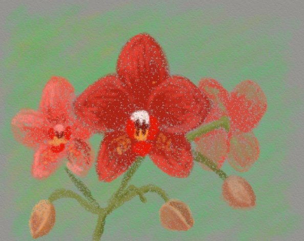 Орхидеи_2.jpg