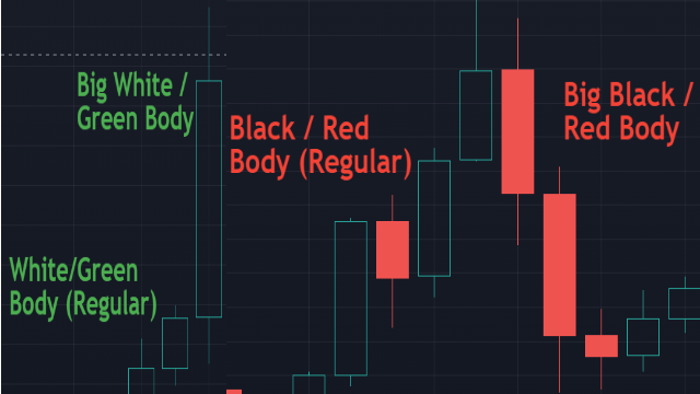 Candle Body Length