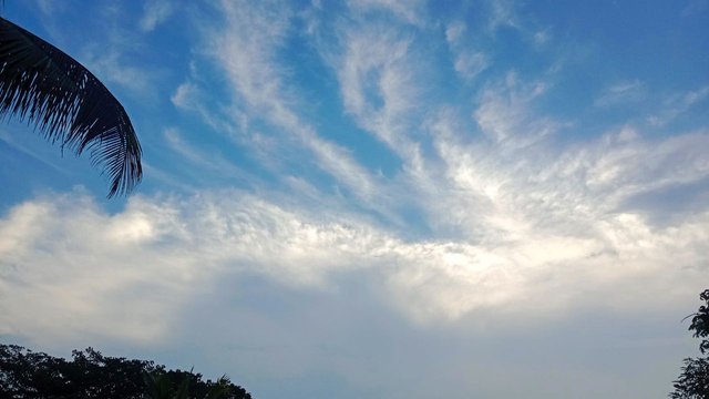 IMG_20250926_073740_063.jpg