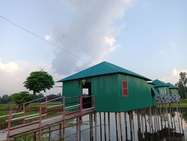 IMG20250612175407.jpg