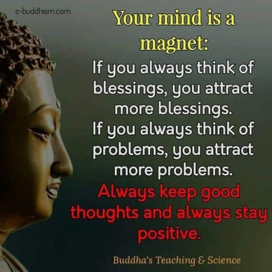 Mind-Magnet-Quote--550x550.jpg