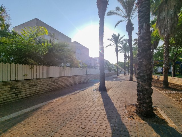 20250611_071017.jpg