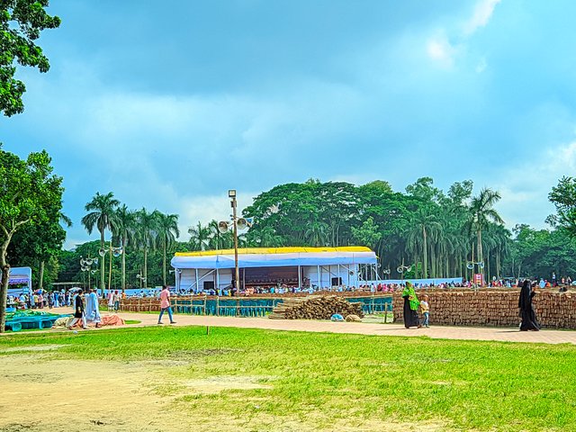 ahp (4135).jpg