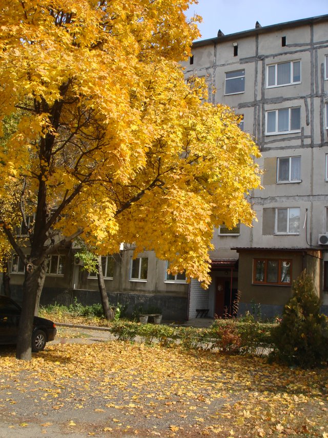 DSC03101.JPG