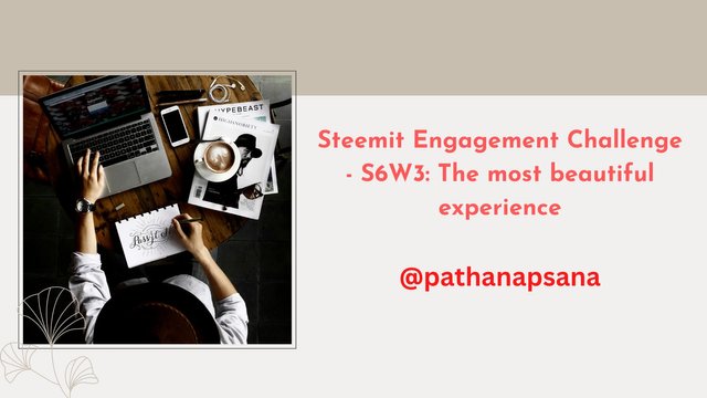 Steemit Engagement Challenge - S6W3 The most beautiful experience.jpg