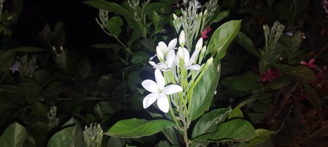 IMG_20250413_192800.jpg