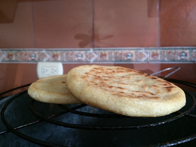 arepa-1379236_1280.jpg