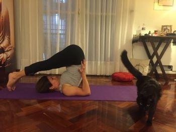 halasana peq yo.jpg